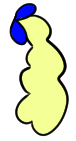 Pigtail 2